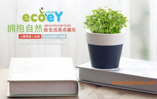 ecoey盆栽 植物工艺品迷你陶瓷花盆创意礼品心情,ecoey盆栽 植物工艺品迷你陶瓷花盆创意礼品心情生产厂家,ecoey盆栽 植物工艺品迷你陶瓷花盆创意礼品心情价格